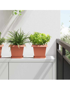 Vassoio Quadrato per Fiori 6 pcs Rosso Mattone 15 x 15 x 2 cm