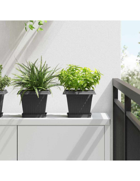 Vassoio Quadrato per Fiori 6 pcs Nero 15 x 15 x 2 cm Plastica