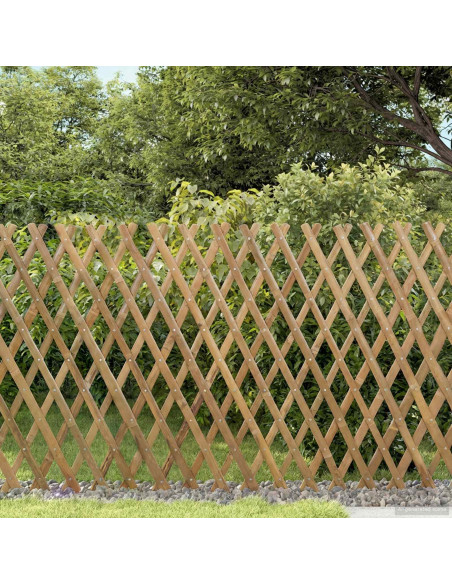 Recinto Trellis Espandibile 2 pcs Marrone Chiaro 100 x 105 cm