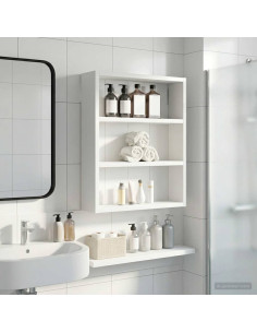 Armadio da bagno a muro con lo scaffale Bianco 40 x 10 x 50 cm