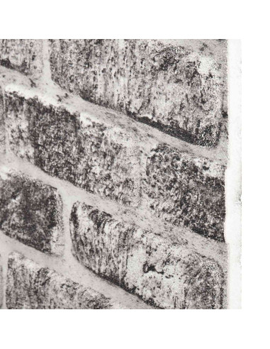 Pannelli da parete 10 pcs Grigio Scuro e Bianco 100 x 50 cm