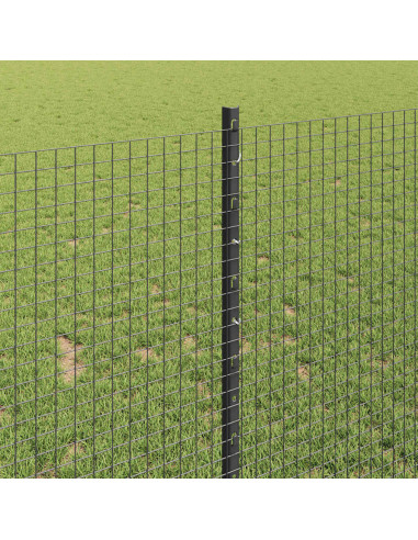 Recinzione con Posto Grigio