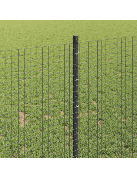 Recinzione con Posto Grigio