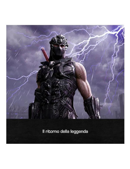 NINJA GAIDEN 4 STANDARD XBOX