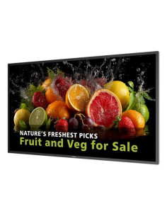 43 MONITOR UHD 24/7 600 NITS