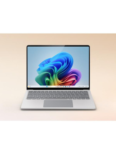 DEMO LAPTOP 13  C8/16/256 PLAT