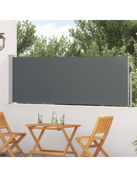 Tenda laterale retrattile Antracite 300 x 100 cm Poliestere
