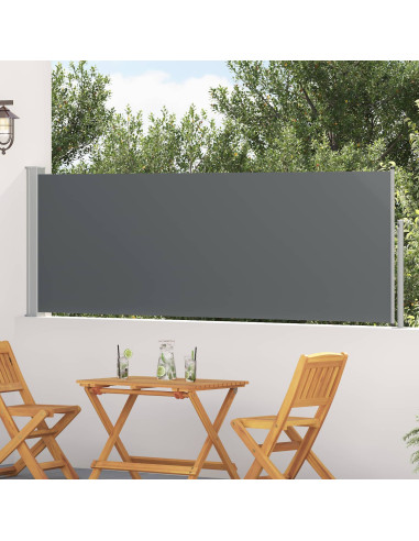 Tenda laterale retrattile Antracite 500 x 100 cm Poliestere