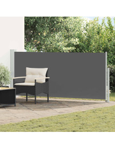Tenda laterale retrattile Antracite 300 x 140 cm Poliestere