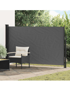 Tenda laterale retrattile Antracite 300 x 170 cm Poliestere