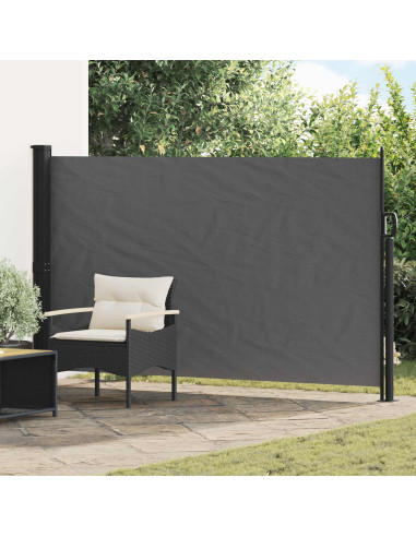 Tenda laterale retrattile Antracite 300 x 170 cm Poliestere