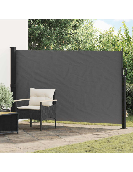 Tenda laterale retrattile Antracite 300 x 170 cm Poliestere