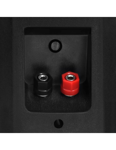 Altoparlanti Stereo da Parete 2 pz Neri Interni Esterni 100 W