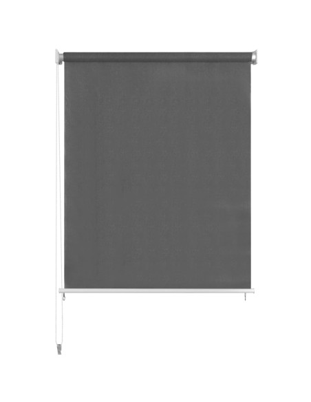Tenda a Rullo per Esterni 350x140 cm Antracite