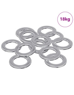 Rondelle 52941 pcs Argento Ferro 2