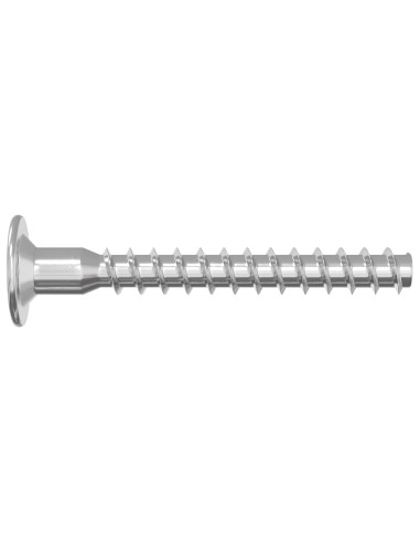 Viti confermat 12 pcs Argento Ø5 x 40 mm Metallo