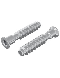 Vite a testa cilindrica 2 pcs Argento M7 x 40 mm Acciaio 2