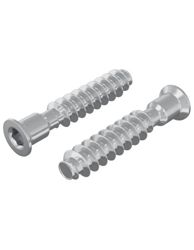 Vite a testa cilindrica 2 pcs Argento M7 x 40 mm Acciaio