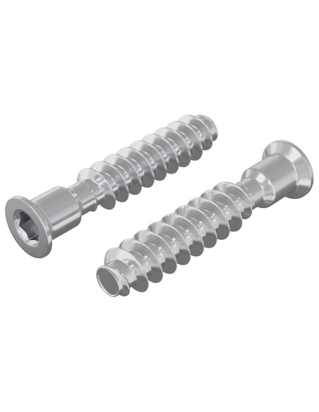 Vite a testa cilindrica 2 pcs Argento M7 x 40 mm Acciaio