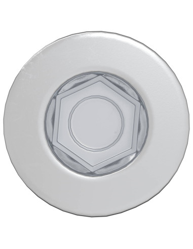 Vite a testa cilindrica 2 pcs Argento M7 x 40 mm Acciaio