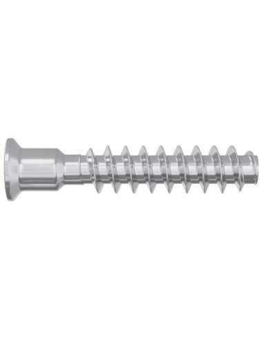 Vite a testa cilindrica 12 pcs Argento M7 x 40 mm Acciaio