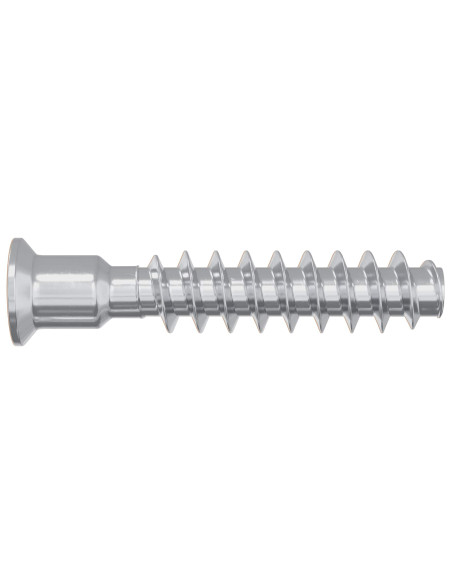 Vite a testa cilindrica 2900 pcs Argento Acciaio