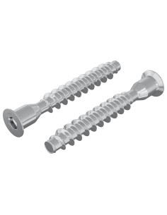 Viti confermat 2 pcs Argento Ø7 x 50 mm Metallo 2