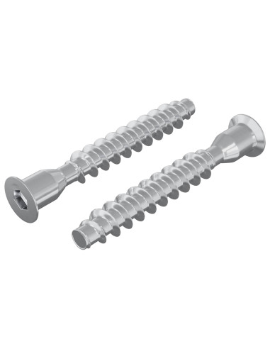 Viti confermat 2 pcs Argento Ø7 x 50 mm Metallo