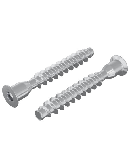 Viti confermat 2 pcs Argento Ø7 x 50 mm Metallo