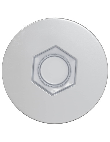 Viti confermat 2 pcs Argento Ø7 x 50 mm Metallo