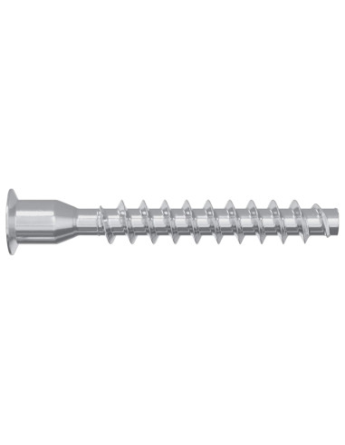 Viti confermat 12 pcs Argento Ø7 x 50 mm Metallo