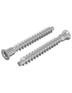 Viti confermat 2 pcs Argento Ø7 x 58 mm Metallo 2
