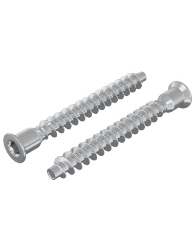 Viti confermat 2 pcs Argento Ø7 x 58 mm Metallo