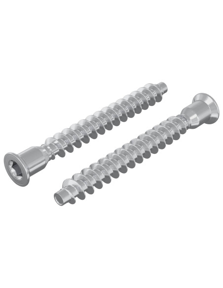 Viti confermat 2 pcs Argento Ø7 x 58 mm Metallo