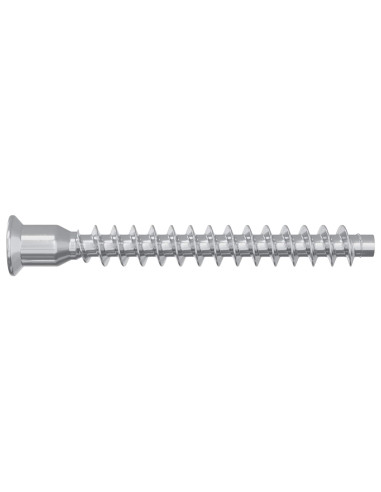Viti confermat 2100 pcs Argento Metallo