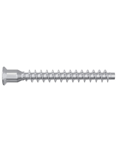 Viti confermat 2100 pcs Argento Metallo