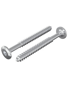 Viti in Legno 2 pcs Argento M6 x 70 mm Acciaio 2