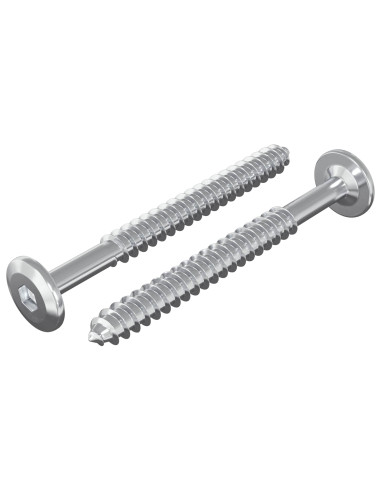 Viti in Legno 2 pcs Argento M6 x 70 mm Acciaio