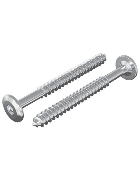 Viti in Legno 2 pcs Argento M6 x 70 mm Acciaio