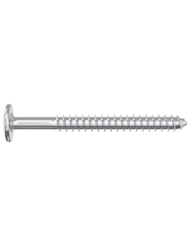 Viti in Legno 2 pcs Argento M6 x 70 mm Acciaio