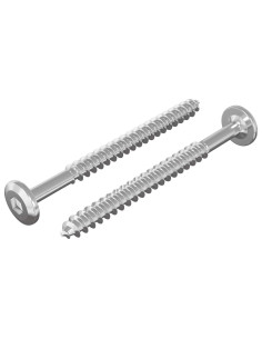 Viti in Legno 2 pcs Argento M6 x 70 mm Acciaio 2