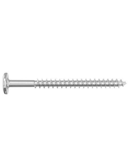 Viti in Legno 12 pcs Argento M6 x 70 mm Acciaio
