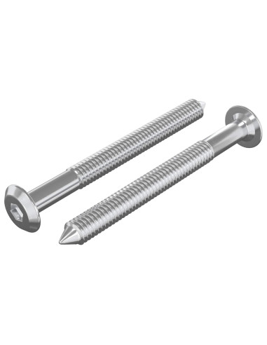 Viti per mobili 2 pcs Argento M6 x 60 mm Acciaio
