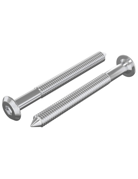 Viti per mobili 2 pcs Argento M6 x 60 mm Acciaio