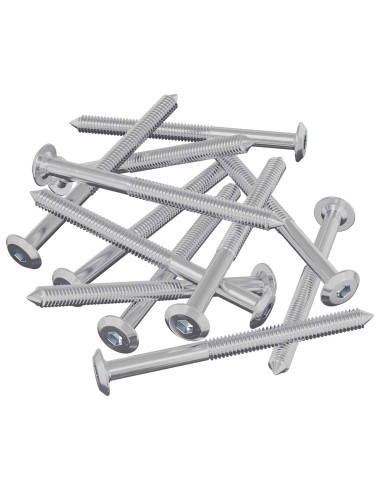 Viti per mobili 12 pcs Argento M6 x 85 mm Acciaio