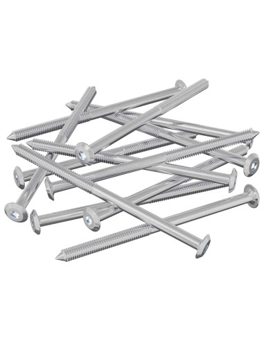 Viti per mobili 12 pcs Argento M6 x 100 mm Acciaio