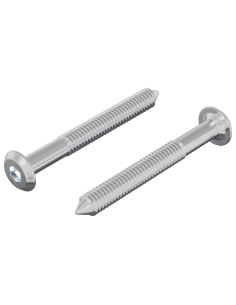 Vite 2 pcs Argento M6 x 50 mm Acciaio 2