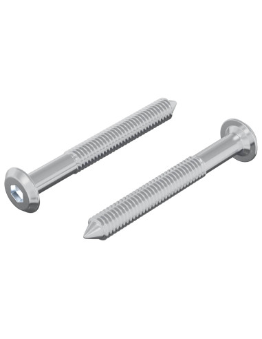 Vite 2 pcs Argento M6 x 50 mm Acciaio