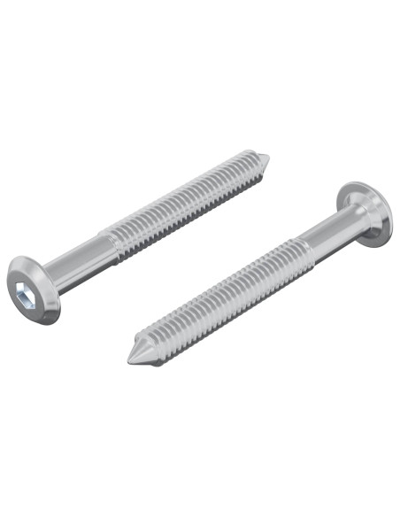 Vite 2 pcs Argento M6 x 50 mm Acciaio