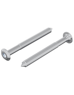 Vite 2 pcs Argento M6 x 60 mm Acciaio 2